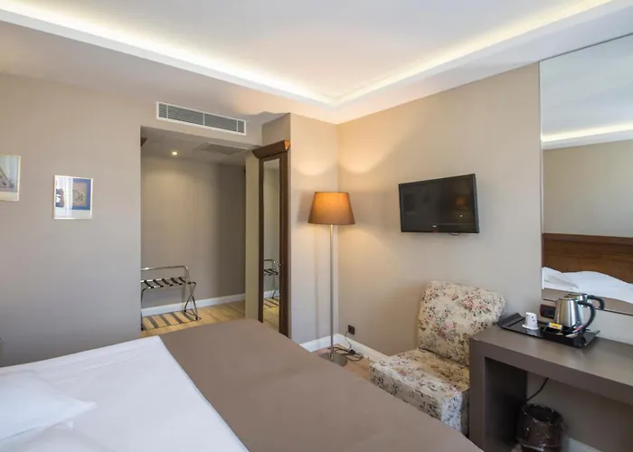 瑟姆桑酒店 3* 伊斯坦布尔