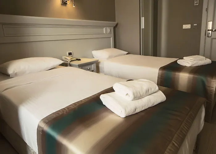 瑟姆桑酒店 3* 伊斯坦布尔